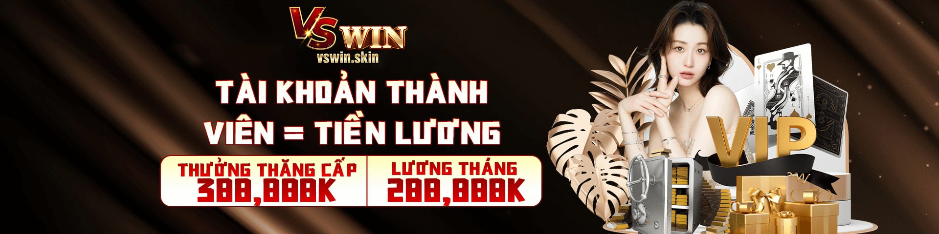 baner vswin 3